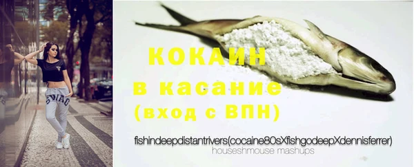 стафф Кодинск
