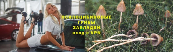 а пвп мука Коряжма