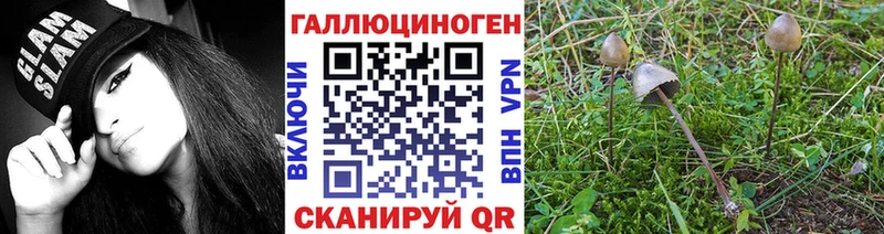 Купить закладки  Нурлат  Галлюциногенные грибы Cubensis 
